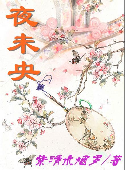 夜未央作品集