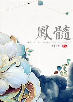 凤髓骨鉴