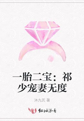 一胎二宝:祁少宠妻无度