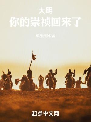 大明,你的崇祯回来了